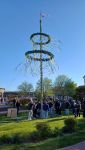 Bild 0 von Segelklub Juist stellte Maibaum auf dem Kurplatz auf