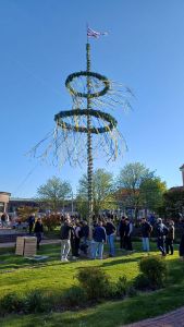 Bild 0 von Segelklub Juist stellte Maibaum auf dem Kurplatz auf