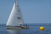 Bild 6 von  70. Jubiläumsregatta auf dem Juister Watt mit wenig Wind